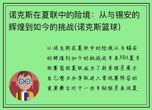 诺克斯在夏联中的险境：从与锡安的辉煌到如今的挑战(诺克斯篮球)