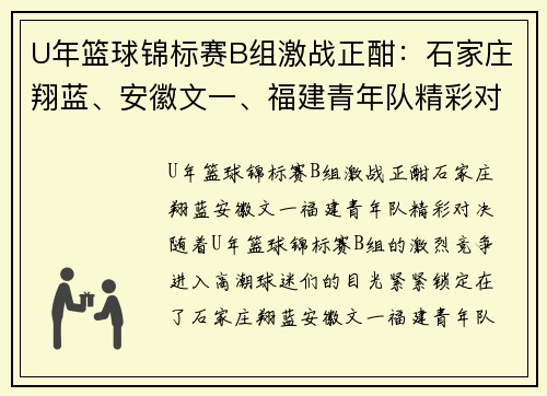 U年篮球锦标赛B组激战正酣：石家庄翔蓝、安徽文一、福建青年队精彩对决